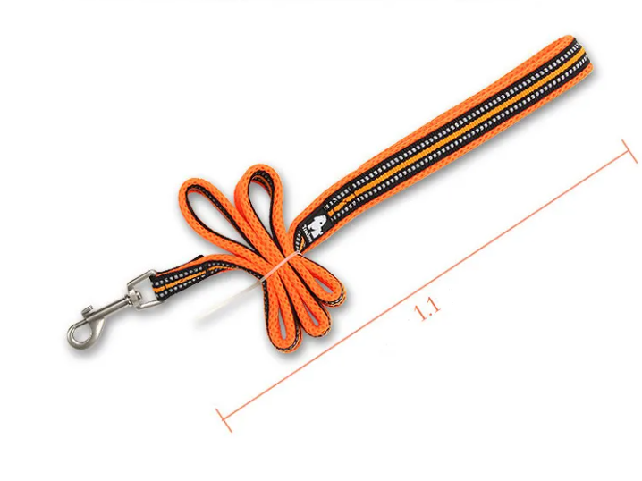 Pet dog leash