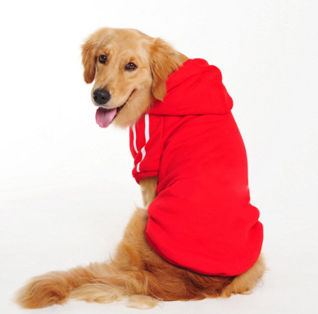 Pet Clothing Collection