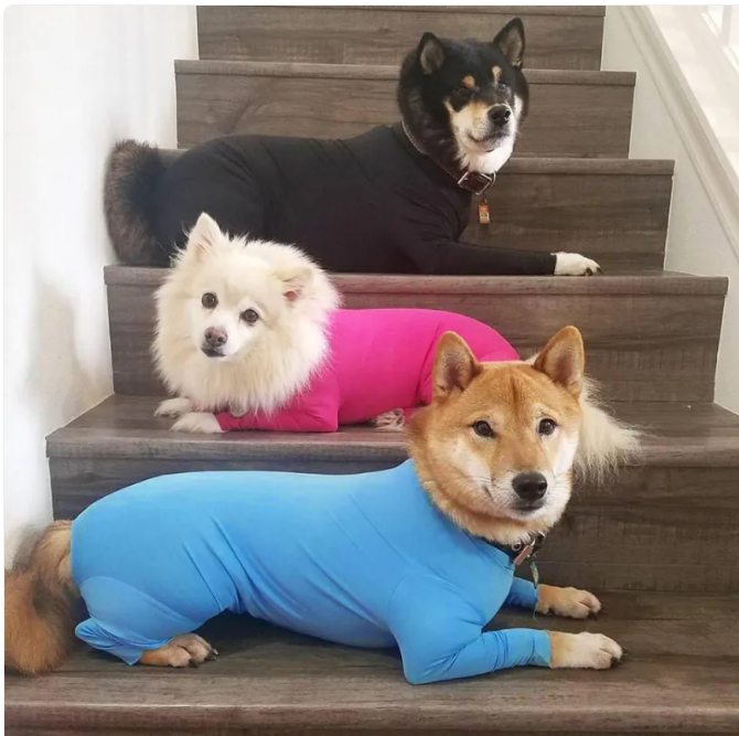 Pet Dog Jumpsuit