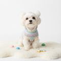 Pet Clothes
