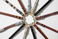 Dog Collars